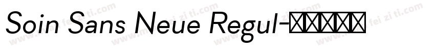 Soin Sans Neue Regul字体转换